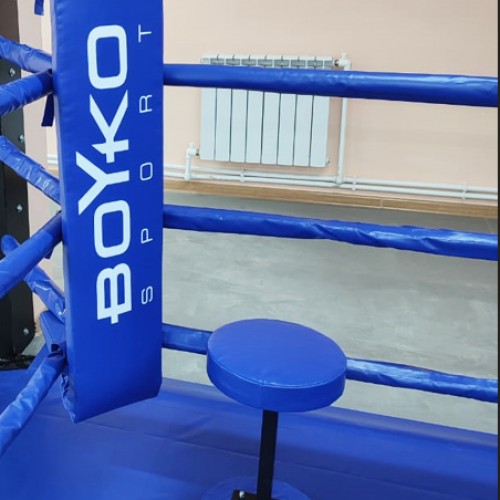 Boyko Sport боксерские